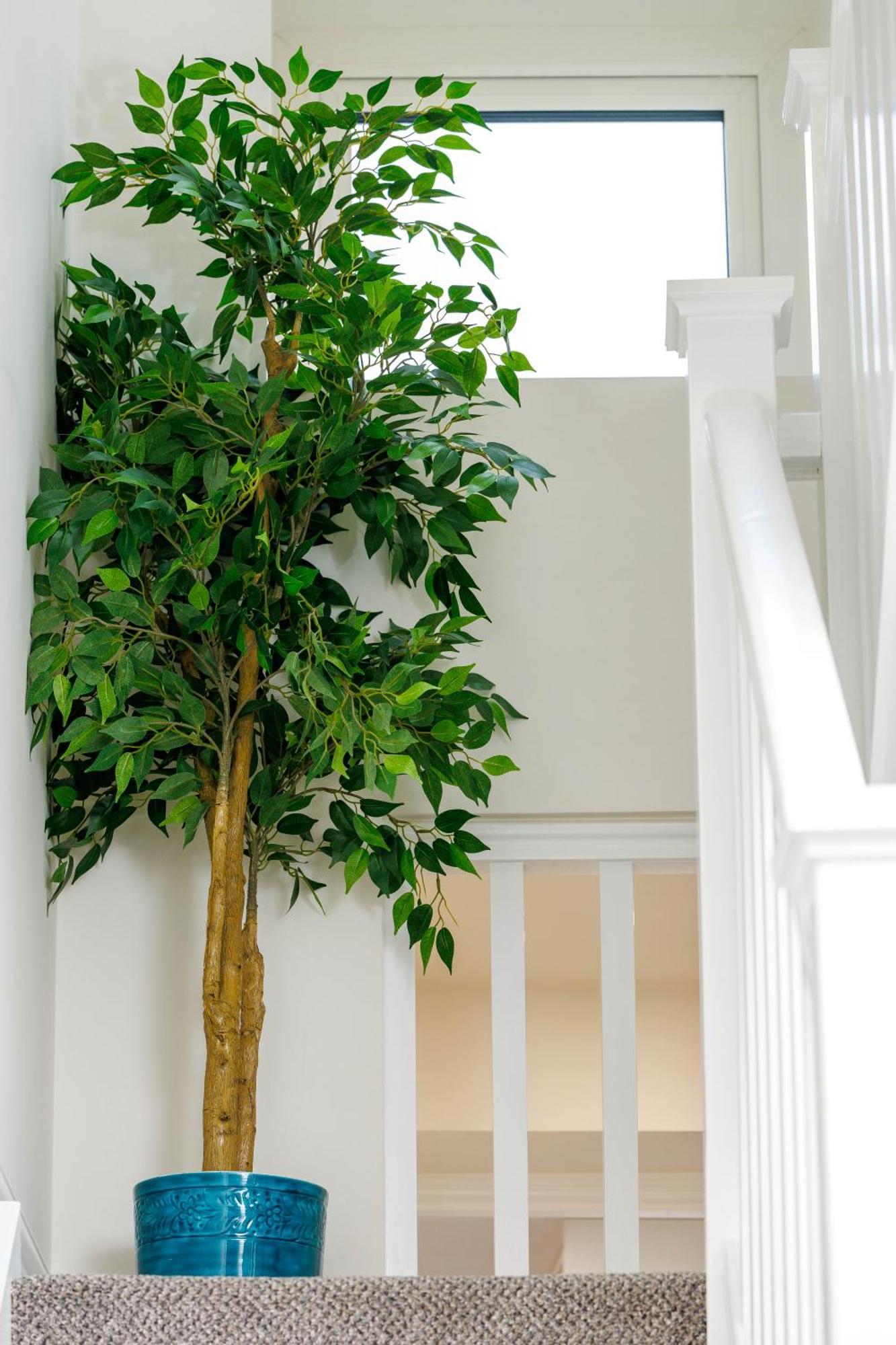 كيلكيني Sandbury Town House المظهر الخارجي الصورة